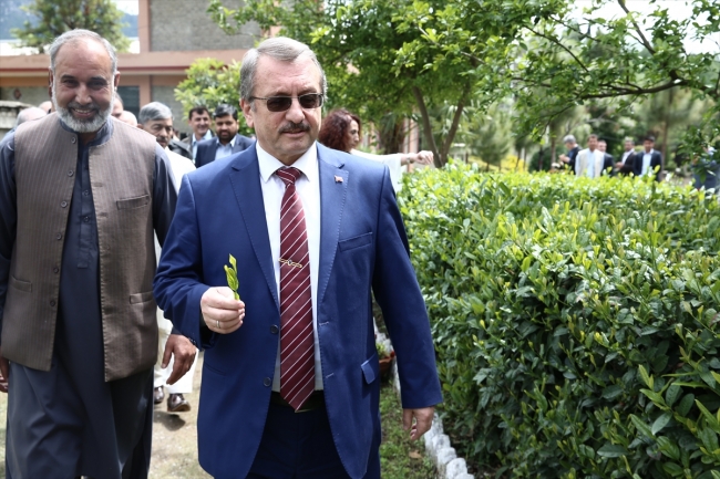 Çaykur, Pakistan'da çay fabrikası açtı